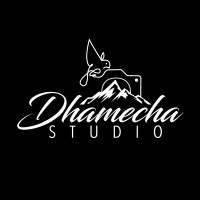Dhamecha Studio logo - Similar company to Skillpundit.In