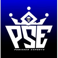 Punisher eSports Official logo - Similar company to Repara Tu Vehiculo