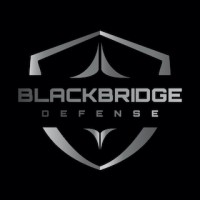Blackbridge Defense logo - Similar company to Ullman Dynamics