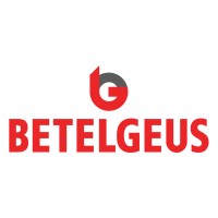 BETELGEUS logo - Similar company to Logisoft