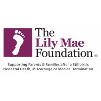 The Lily Mae Foundation ® logo - Similar company to Mummy'S Star
