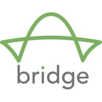Bridge IT Services Ltd. logo - Similar company to Mindset-Conquest