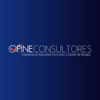 OPINE CONSULTORES logo - Similar company to Pine Consultores