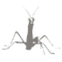 Mantis Direct logo - Similar company to We Mantis