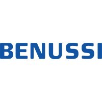 Benussi logo - Similar company to Benussi&Thefish