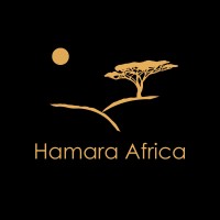 Hamara Africa Energy logo - Similar company to Radio Centans
