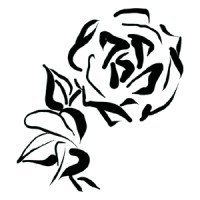 BLACK ROSE SOLUTIONS LIMITED logo - Similar company to Next Step Innovation
