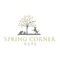 Spring Corner Vets