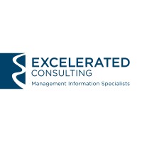 Excelerated Consulting logo - Similar company to Lodestar Solutions