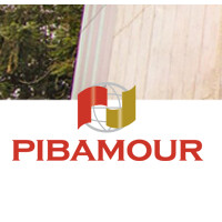 Pibamour Ltda. logo - Similar company to Globalship