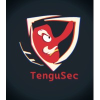 TenguSec logo - Similar company to Icsrank