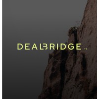 Deal Bridge Media logo - Similar company to Wellfield Technologies, Inc.