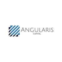 Angularis logo - Similar company to Distli