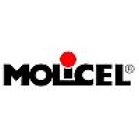 E-One Moli Energy logo - Similar company to Nano One Materials Corp. Tsx: Nano