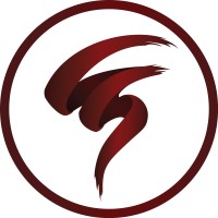 Visual Storm Productions logo - Similar company to Vertopreneur