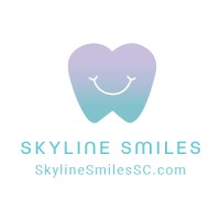 Skyline Smiles logo - Similar company to Pristyne Digital Solutions