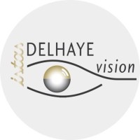 DELHAYE VISION logo - Similar company to Basics Artisan