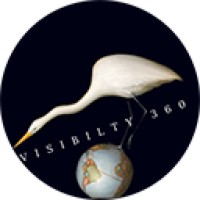 Visibility 360 logo - Similar company to Brainy Bot Inc