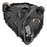 Grey Bear Enterprises logo - Similar company to Softtech Nation