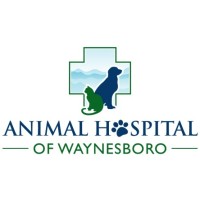 Animal Hospital Of Waynesboro