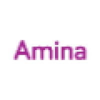 Amina Digital Marketing Ltd.