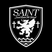 SAINT RTW LTD logo - Similar company to Byst - Services On Demand