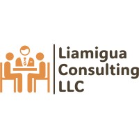 Liamigua Consulting LLC logo - Similar company to Games Foundation Gmbh
