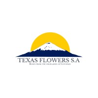 TexasFlowers logo - Similar company to Construcciones Ulloa