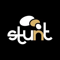 STUNT logo - Similar company to Global Jinzai