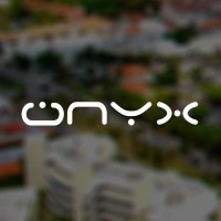 Onyx Tribe Llc