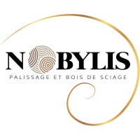 Nobylis logo - Similar company to Creazion