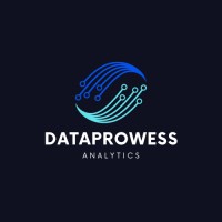 DataProwess Analytics logo - Similar company to Data Prowess