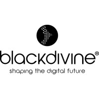Blackdivine LLC logo - Similar company to Association Le Qg Des Héros #Qgdro