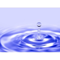 Eco-Tone Solutions logo - Similar company to Netex Enterprises Inc.