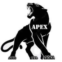 Apex IT and Cybersecurity Solutions logo - Similar company to Root Port It Solutions