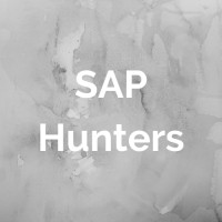 SAP Hunters logo - Similar company to Bespoke Placement
