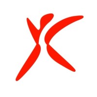 IPMA Young Crew Italy logo - Similar company to Ipma Italy