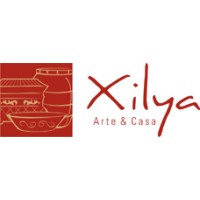 Xilya logo - Similar company to Stentofon Israel