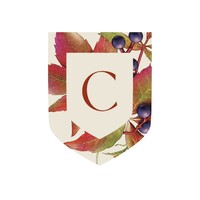 Cromlix logo - Similar company to Redrice Ventures