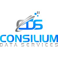 Consilium Data Services logo - Similar company to Codespaces Tech