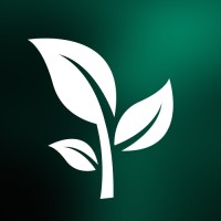 Data Inception logo - Similar company to Canário