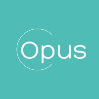 Opus Magna Engenharia logo - Similar company to Optimus Engineering