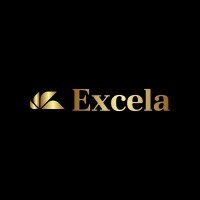 Excela Consulting logo - Similar company to Auryz