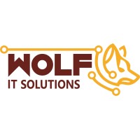 Wolf IT Solutions logo - Similar company to Keaddle Solution Pvt Ltd