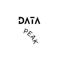 Data Peak logo - Similar company to Datapeak