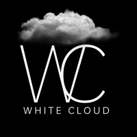 White Cloud logo - Similar company to Alternative Recruitment Limited