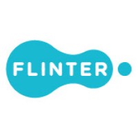 Flinter.it logo - Similar company to Flinter Groep