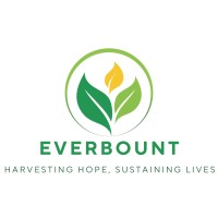 EVERBOUNT logo - Similar company to Journal Of Stem Education: Innovations And Research