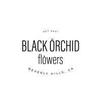 Black Orchid Flowers logo - Similar company to Precision-Ai