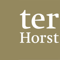 ter Horst Beratung logo - Similar company to Xvalues - Digital Leadership Network